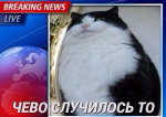 Скрипт-вирусы Linux